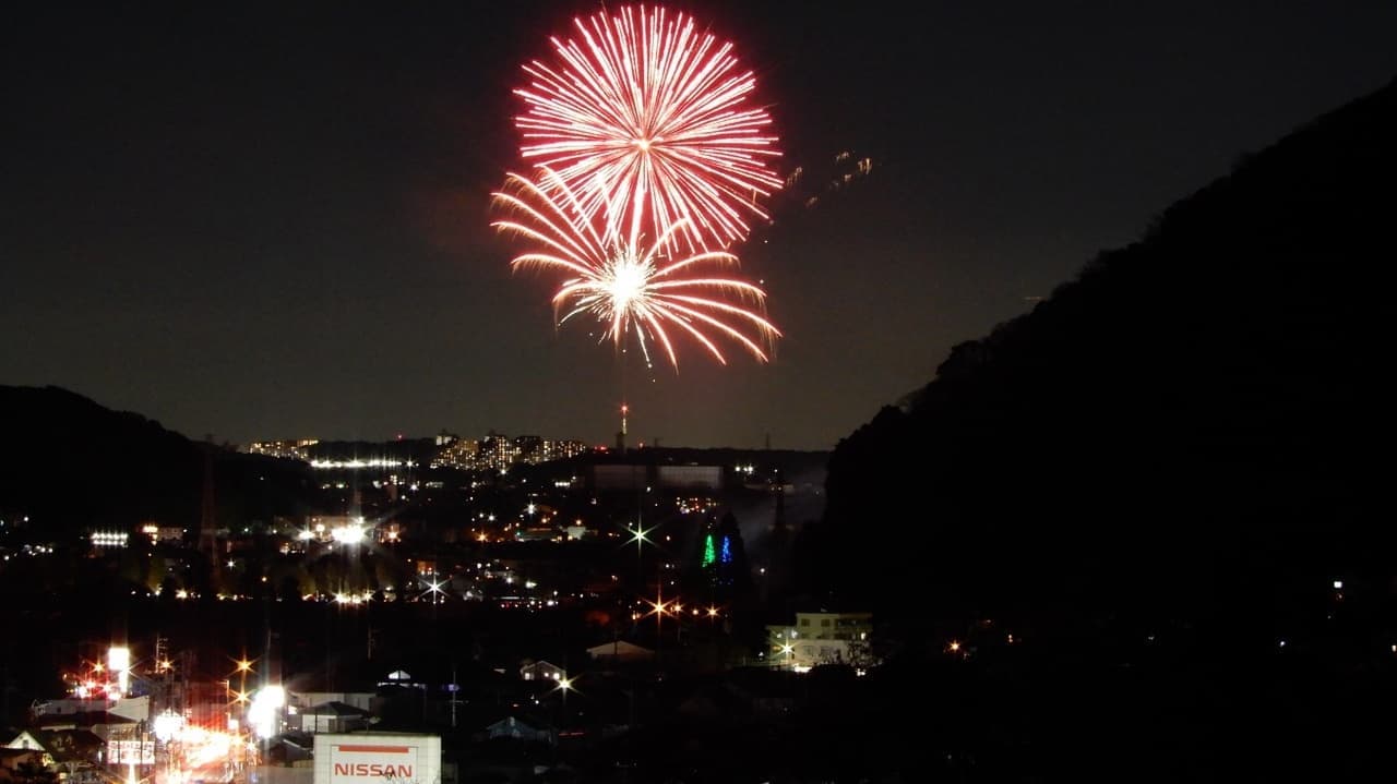 晩秋に開く夜の華