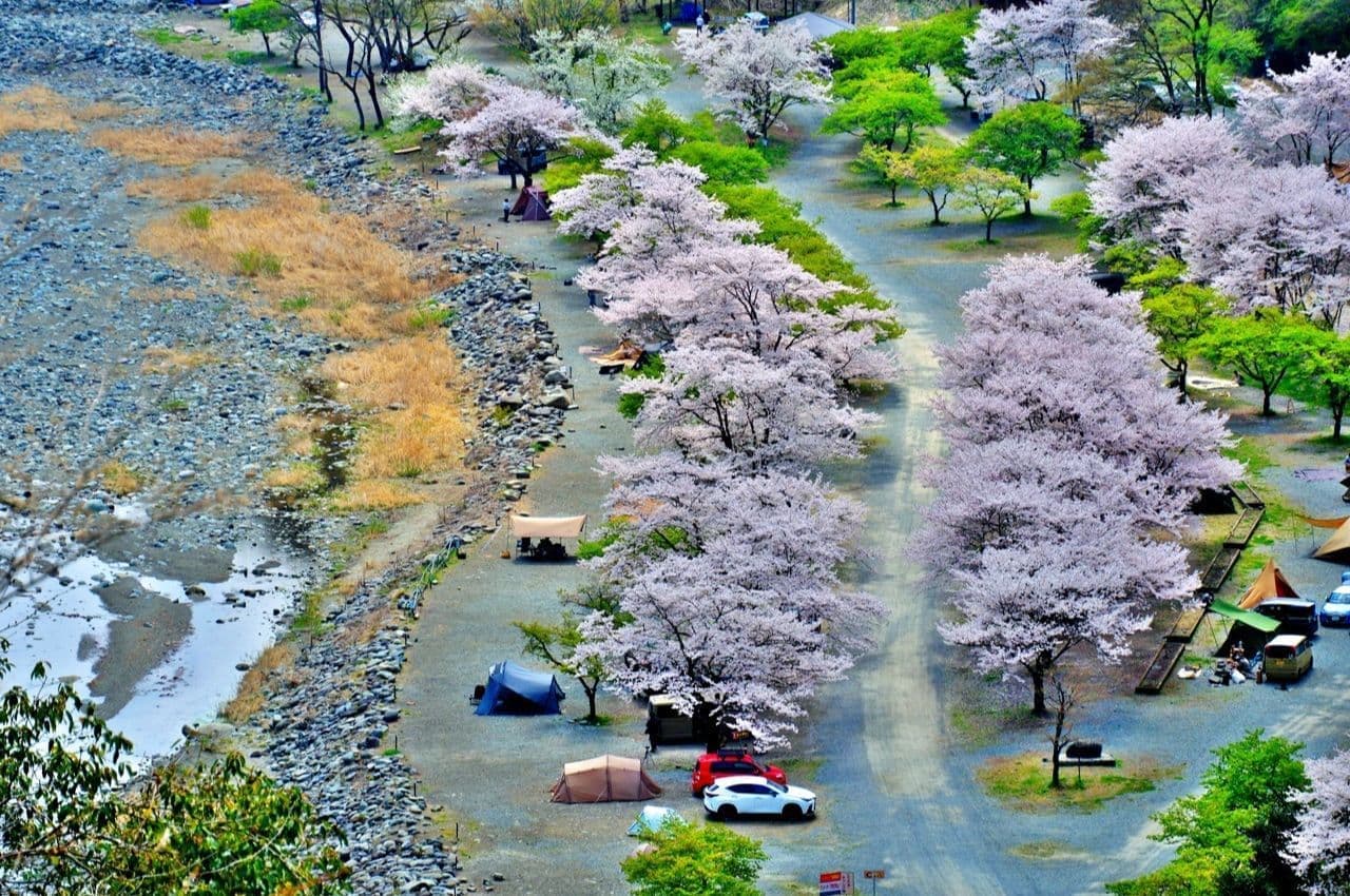 春のキャンプ場