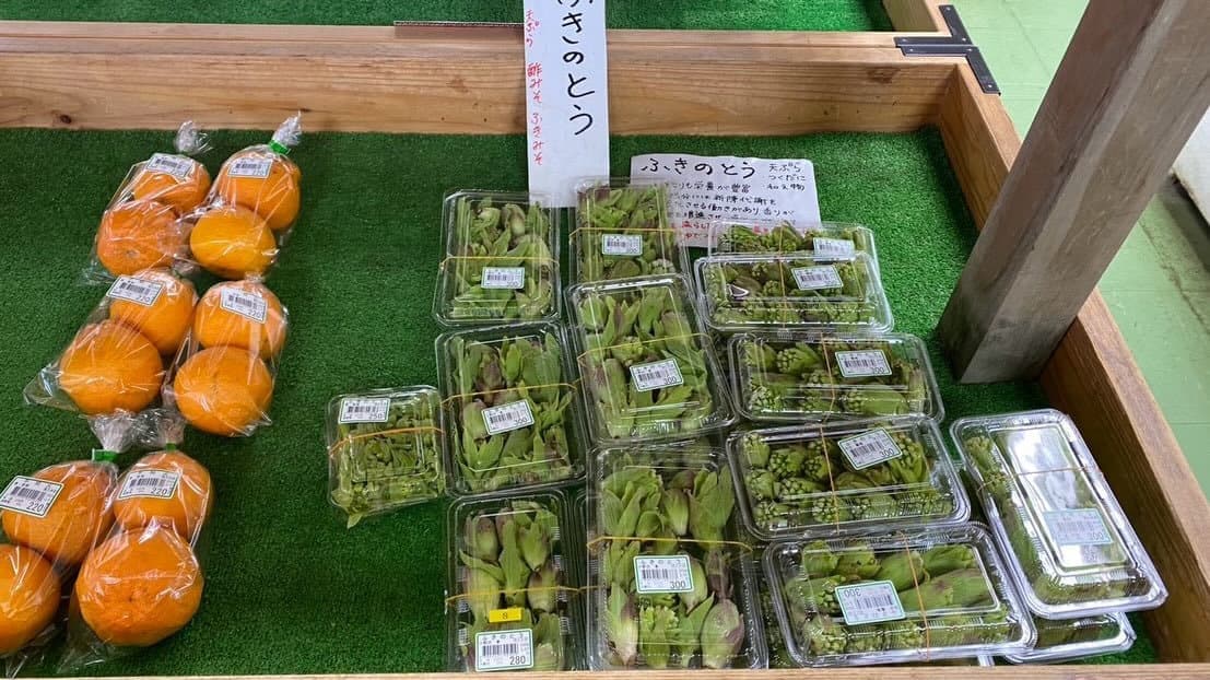 津久井湖観光センター