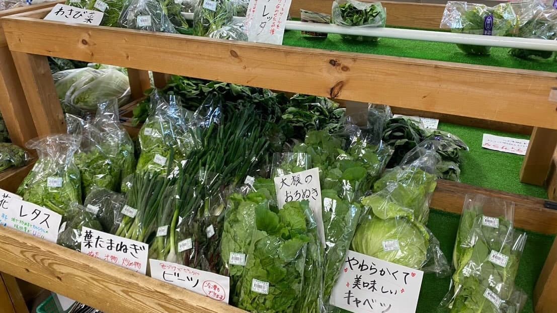 津久井湖観光センター