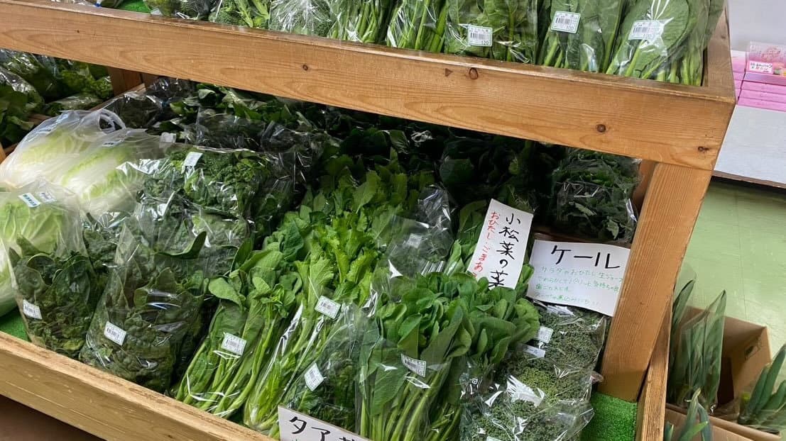 津久井湖観光センター