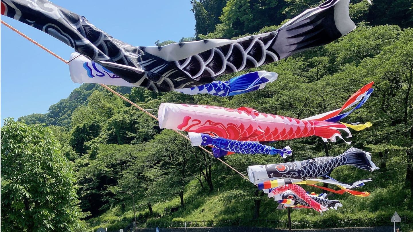 津久井湖こいのぼり