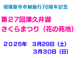 第27回津久井湖さくらまつり